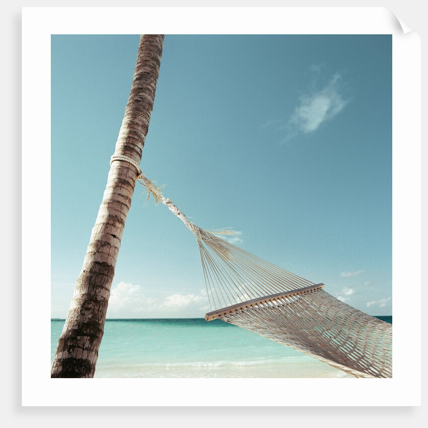 Hammock on Beach by Anonymous