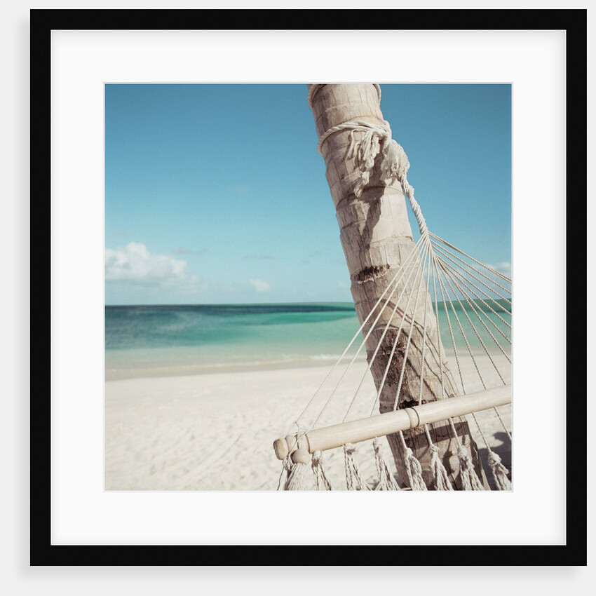 Hammock on Beach by Anonymous