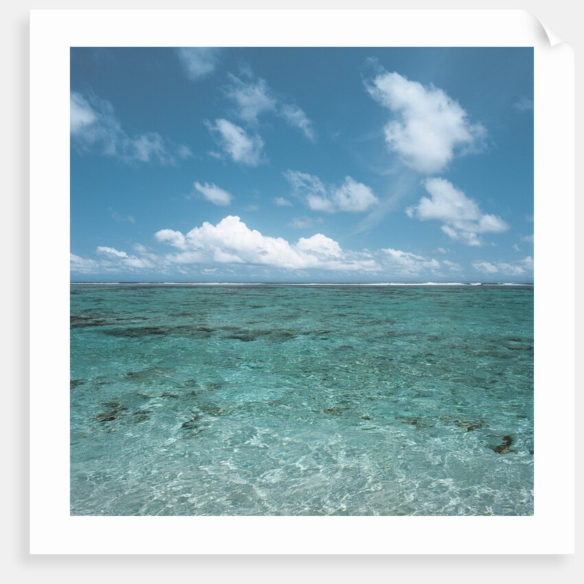 Shallow Area of the Ocean by Anonymous