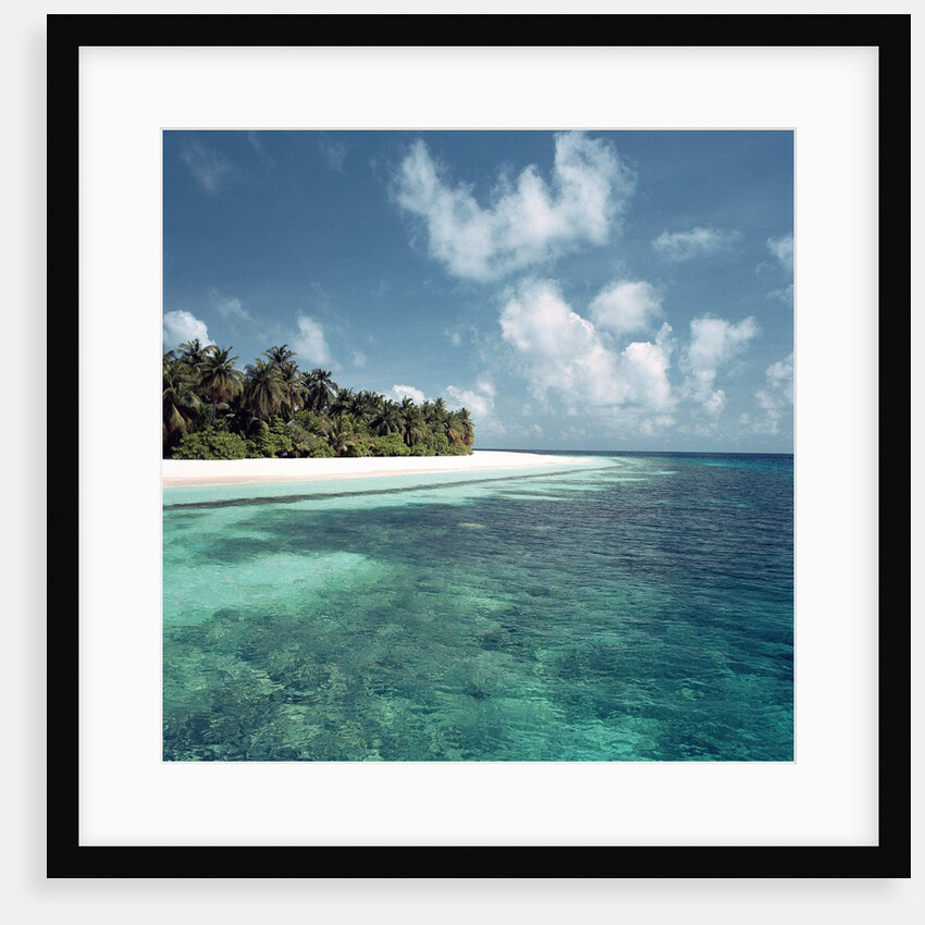 Shallow Water Near Beach by Anonymous