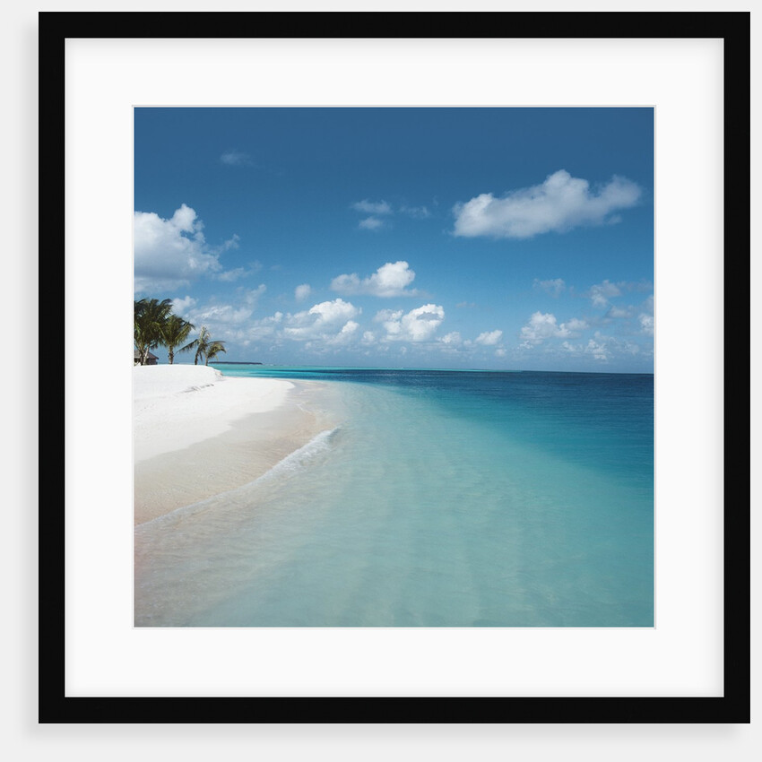 Beach and Surf by Anonymous