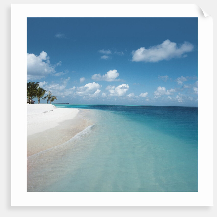Beach and Surf by Anonymous