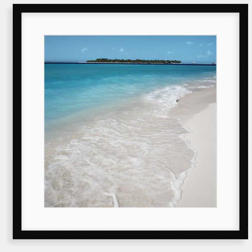 Beach and Surf by Anonymous