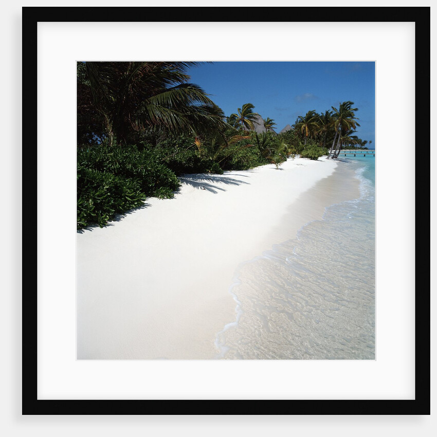 Tropical Beach by Anonymous