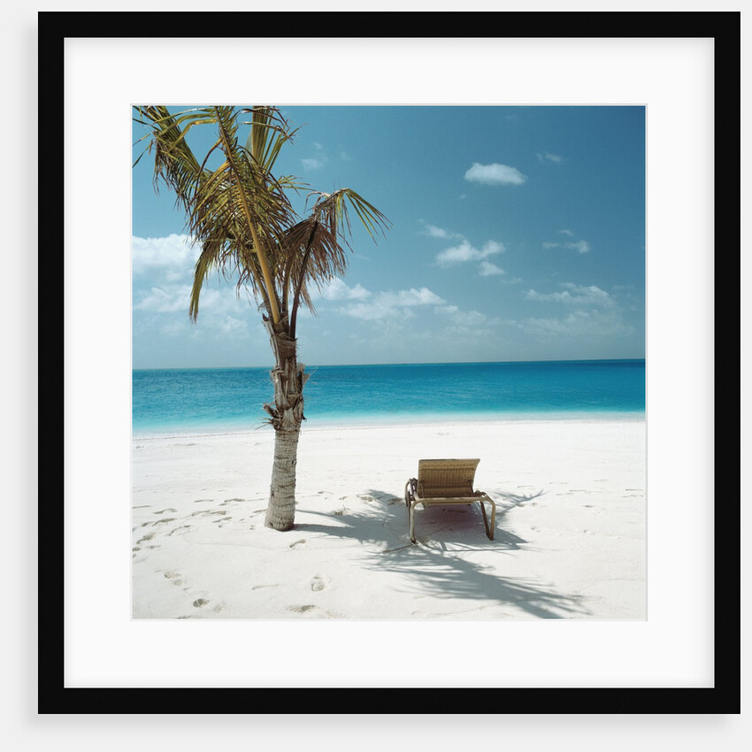 Palm Tree and Beach Chair by Anonymous