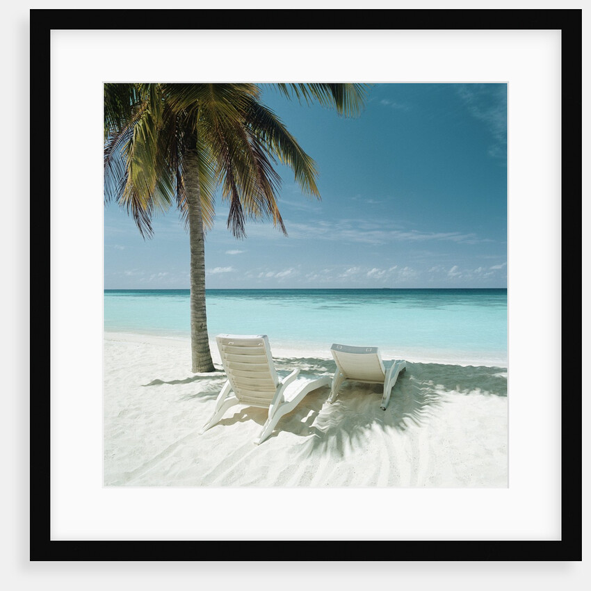Palm Tree and Beach Chair by Anonymous