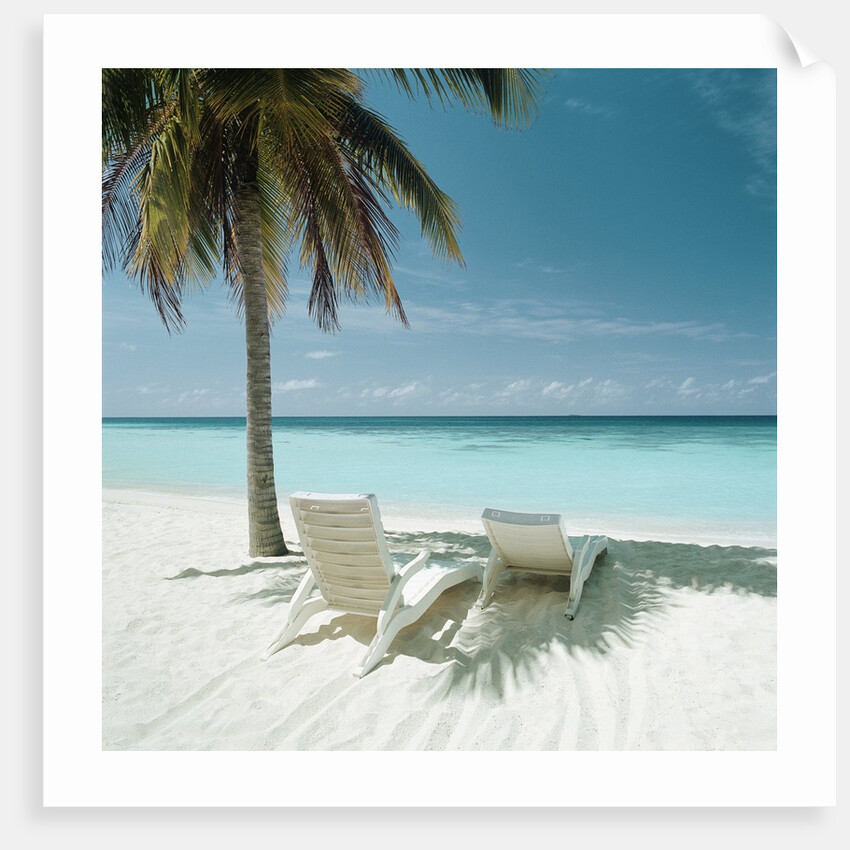 Palm Tree and Beach Chair by Anonymous