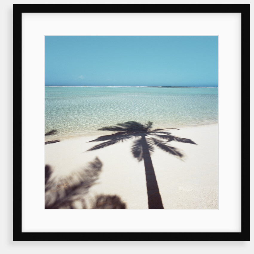 Shadow of Palm Tree on a Beach by Anonymous