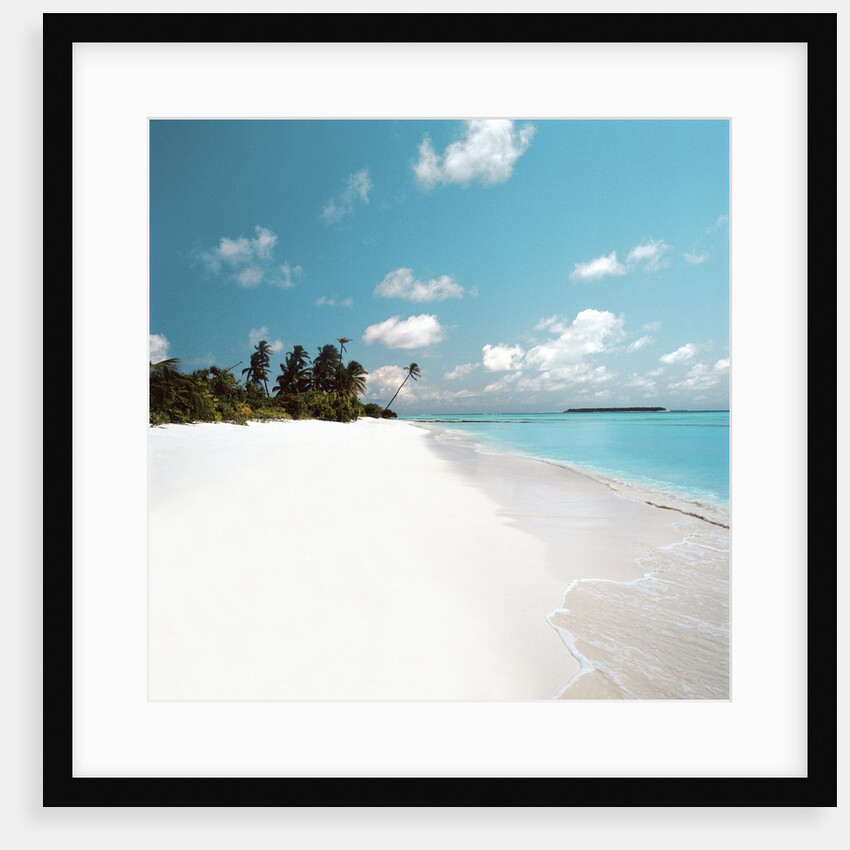 Tropical Beach by Anonymous