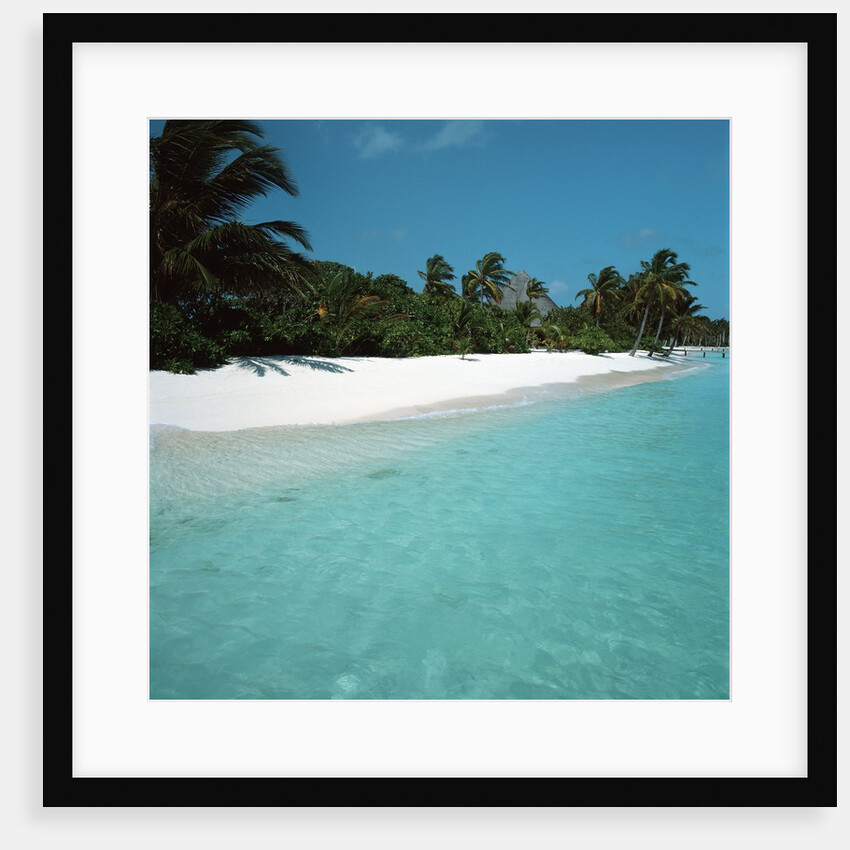 Shallow Water Near a Tropical Beach by Anonymous