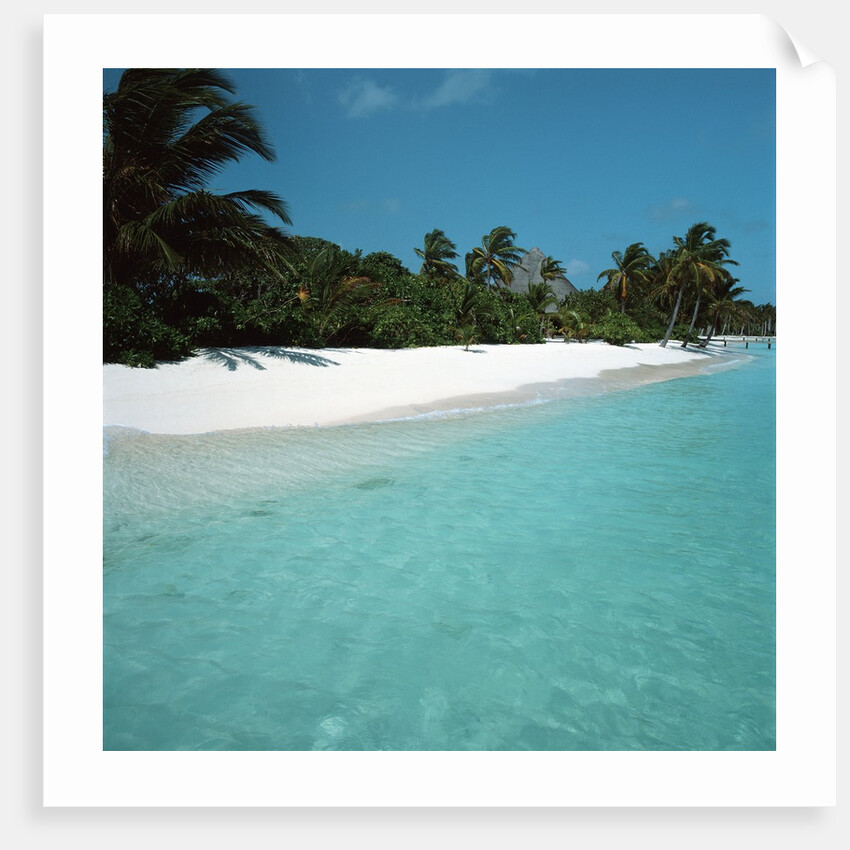 Shallow Water Near a Tropical Beach by Anonymous