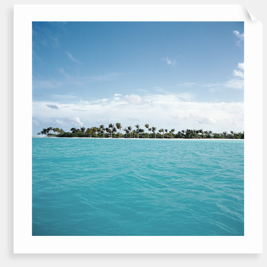 Shallow Water Near Tropical Island by Anonymous