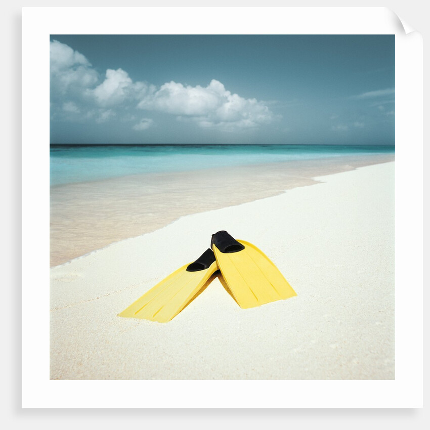 Swim Fins on the Beach by Anonymous
