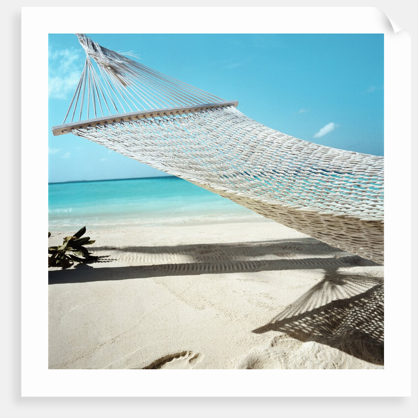 Hammock at the Beach by Anonymous