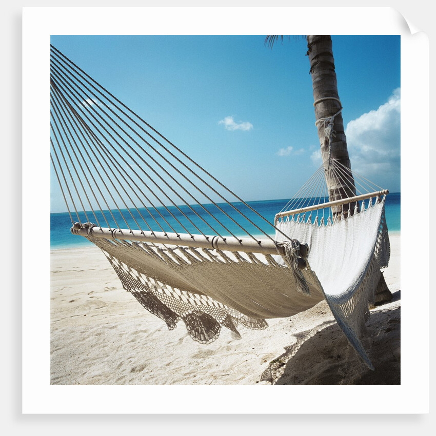 Hammock on a Beach by Anonymous