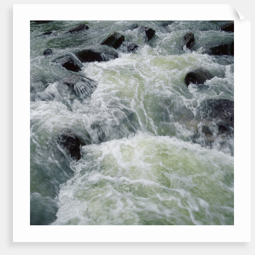 River Rapids by Anonymous