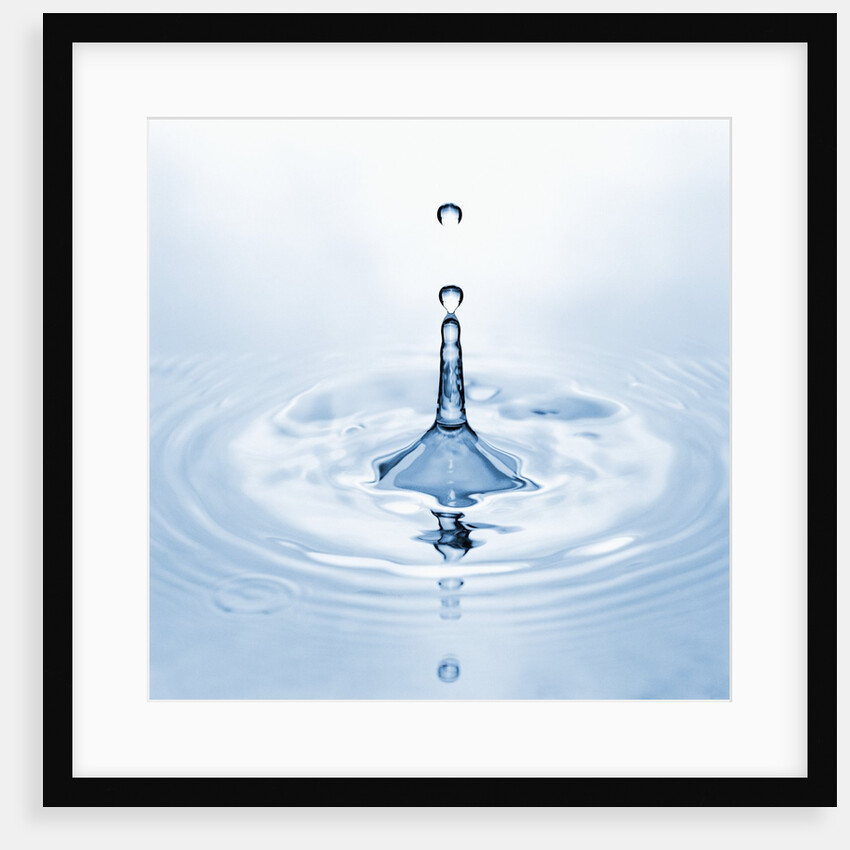 Water Droplet and Ripple by Anonymous