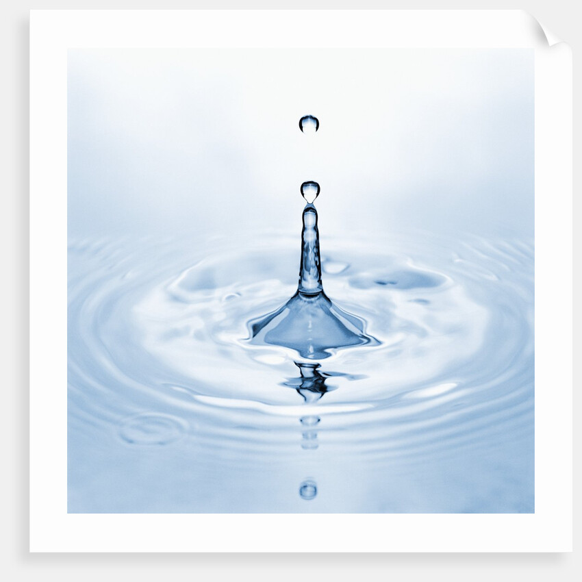 Water Droplet and Ripple by Anonymous