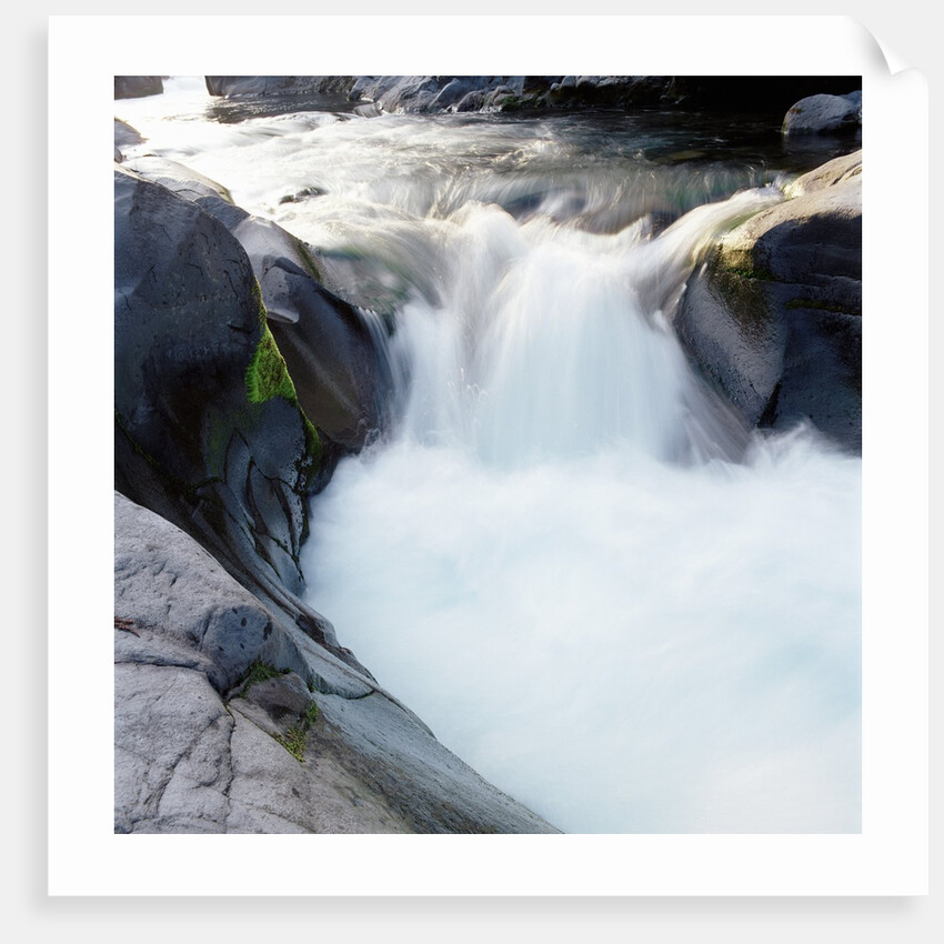 Rapids Churning River by Anonymous