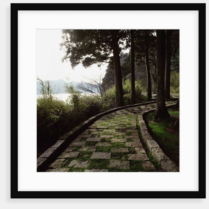 A stone footpath by Anonymous