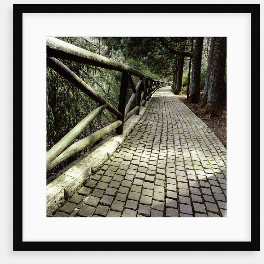 A footpath and barrier by Anonymous