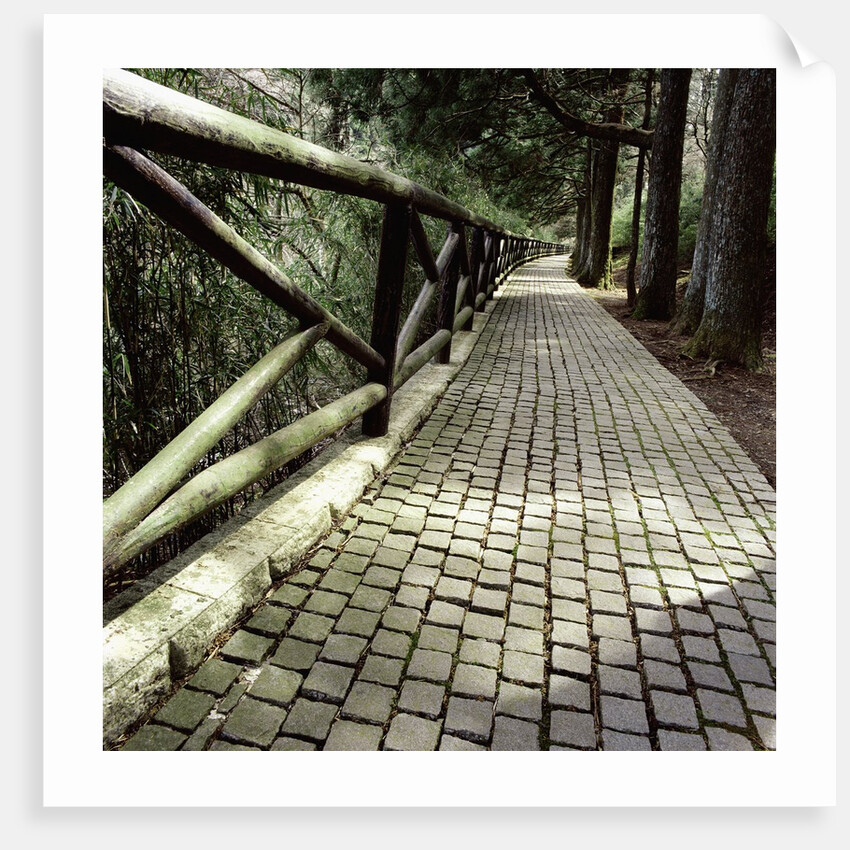 A footpath and barrier by Anonymous