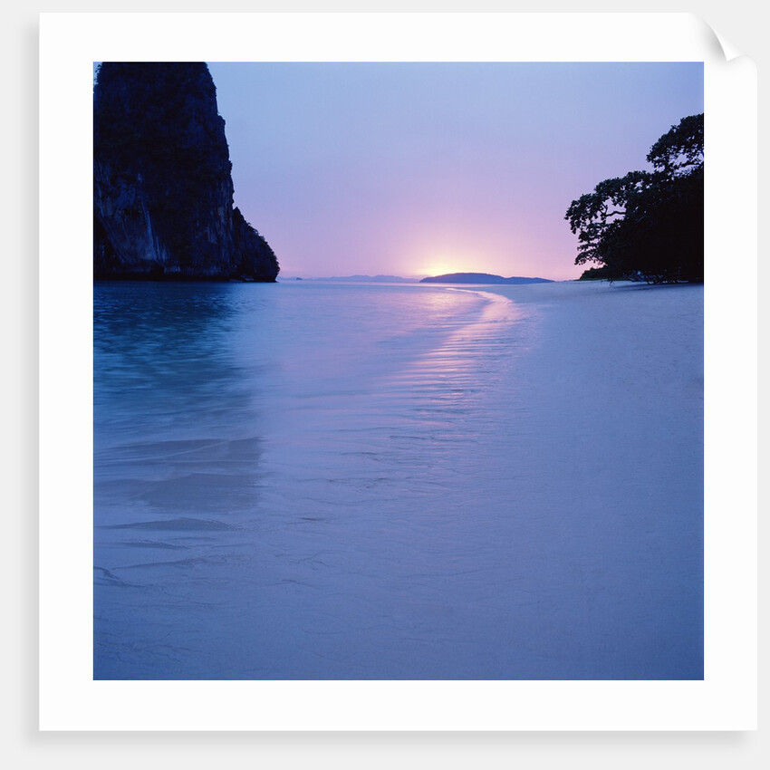 Tropical Beach by Anonymous