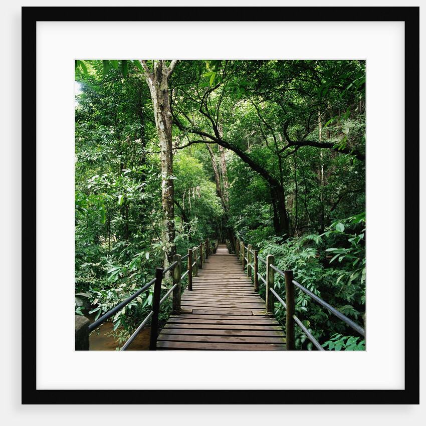 Wooden Bridge Thailand by Anonymous