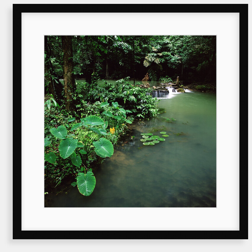 Waterfall Thailand by Anonymous