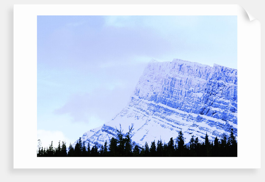 Snow-Covered Mountain Above Tree Line by Anonymous