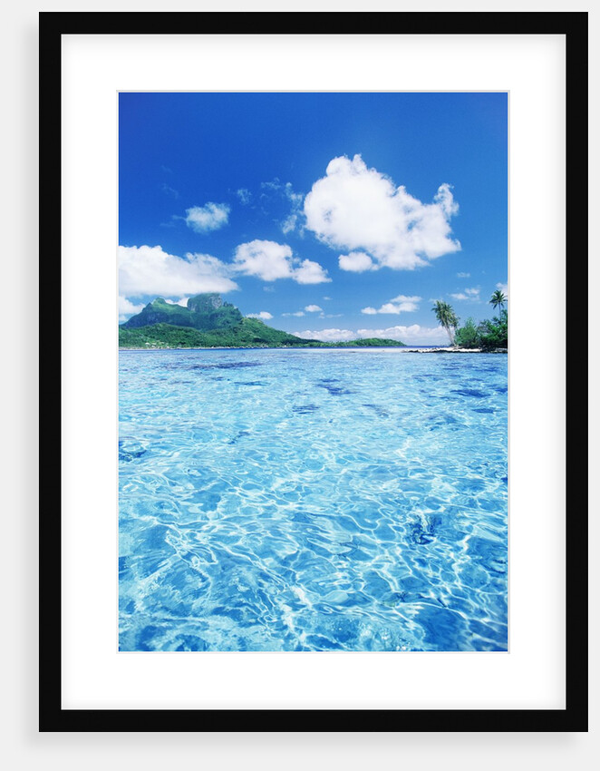 Tropic Waters by Anonymous