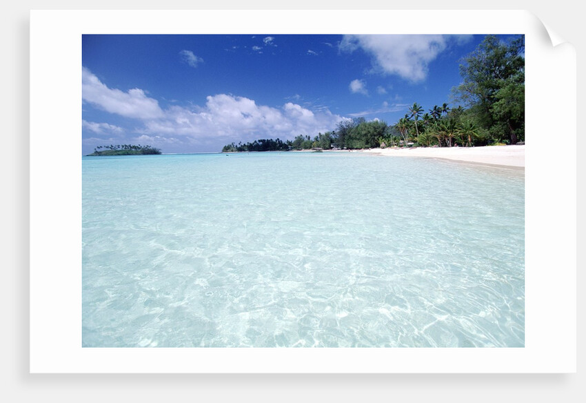 Tropical Beach by Anonymous