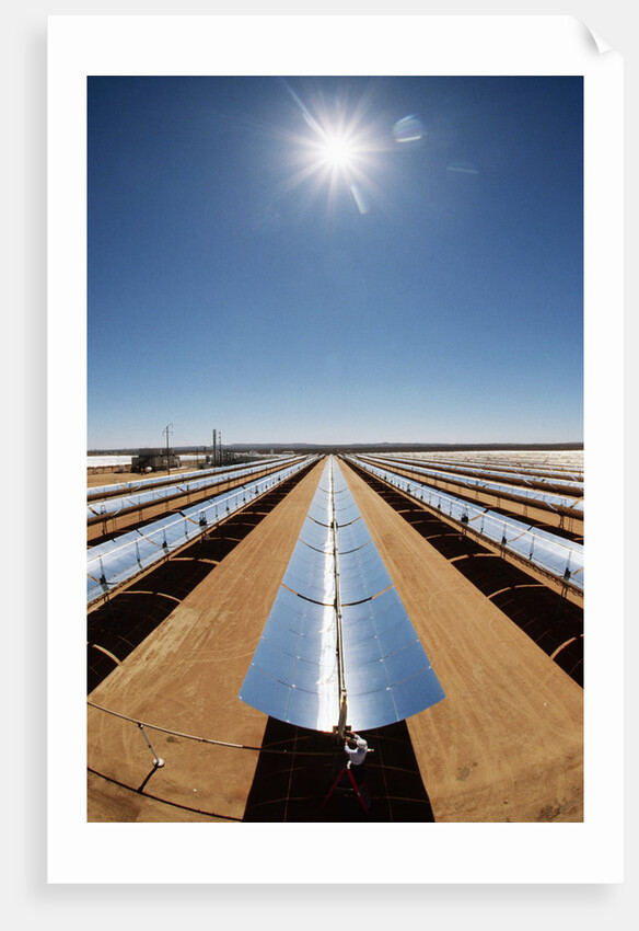 Technician at Solar Power Plant by Anonymous