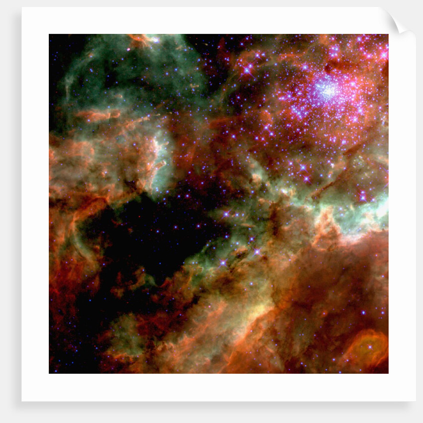 Cluster in Large Magellanic Cloud by Anonymous