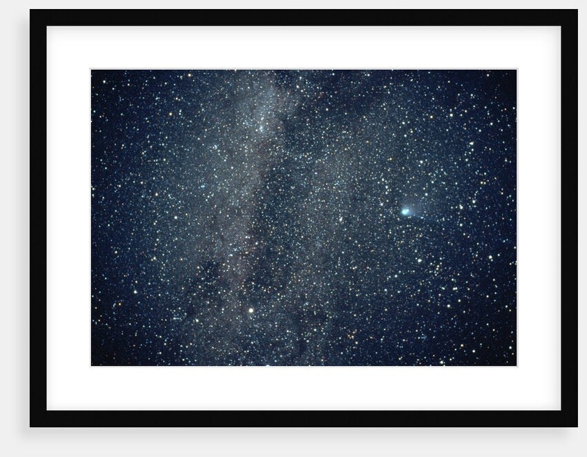 Halley's Comet in the Southern Sky by Anonymous