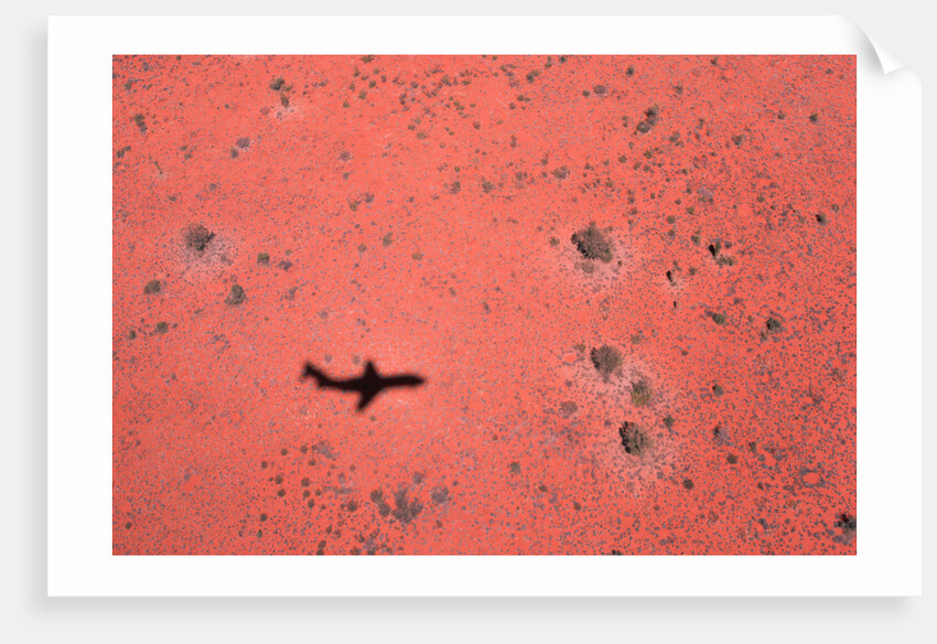 Jet Shadow on a Desert by Anonymous