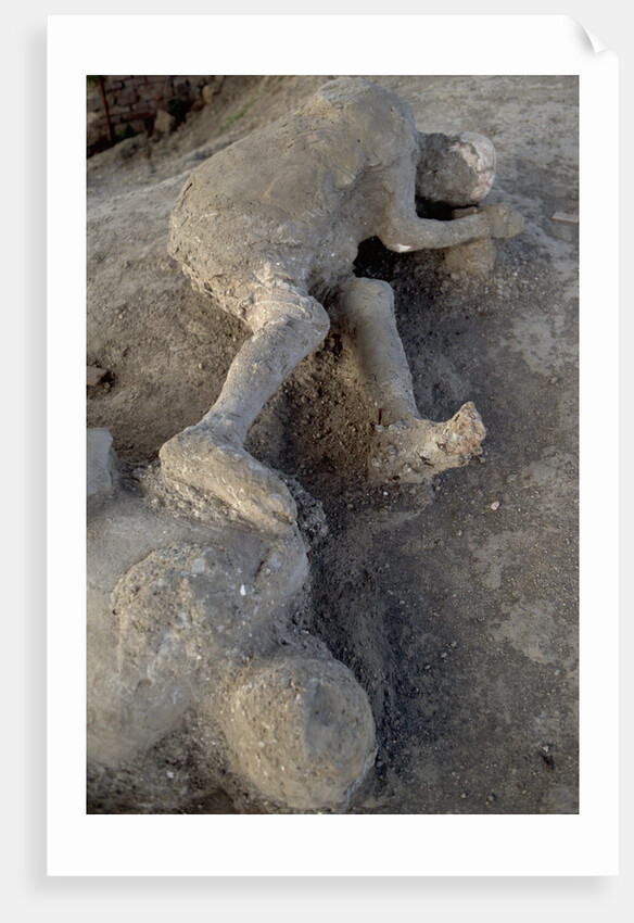 Bodies in Pompeii by Anonymous