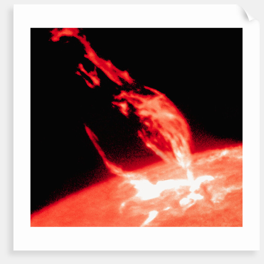 Solar Prominence Erupting from the Sun's Surface by Anonymous