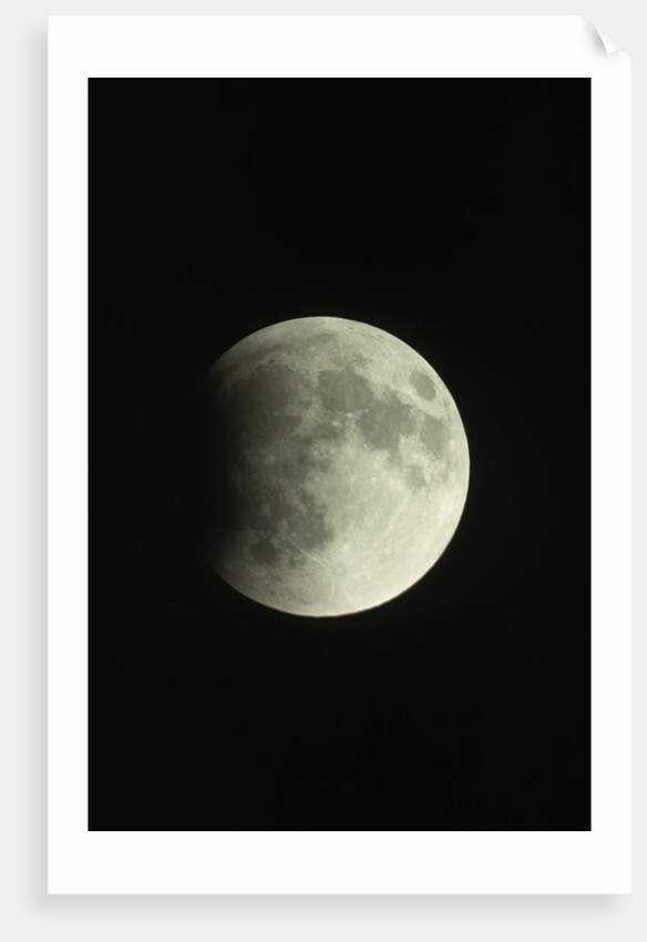Lunar Eclipse by Anonymous
