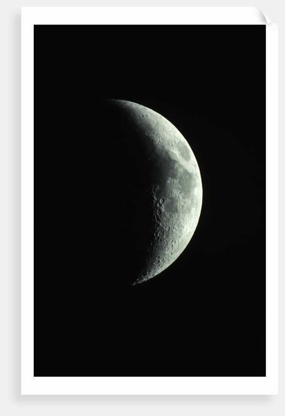 Crescent Moon by Anonymous