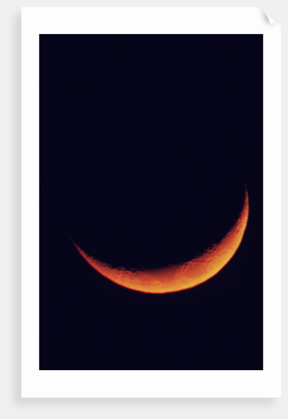 Crescent Moon Setting by Anonymous