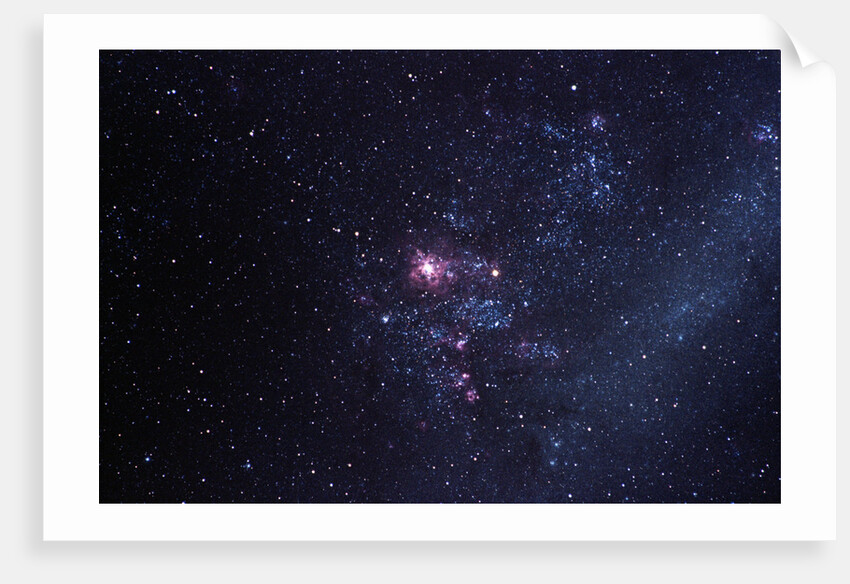 Supernova 1987A by Anonymous
