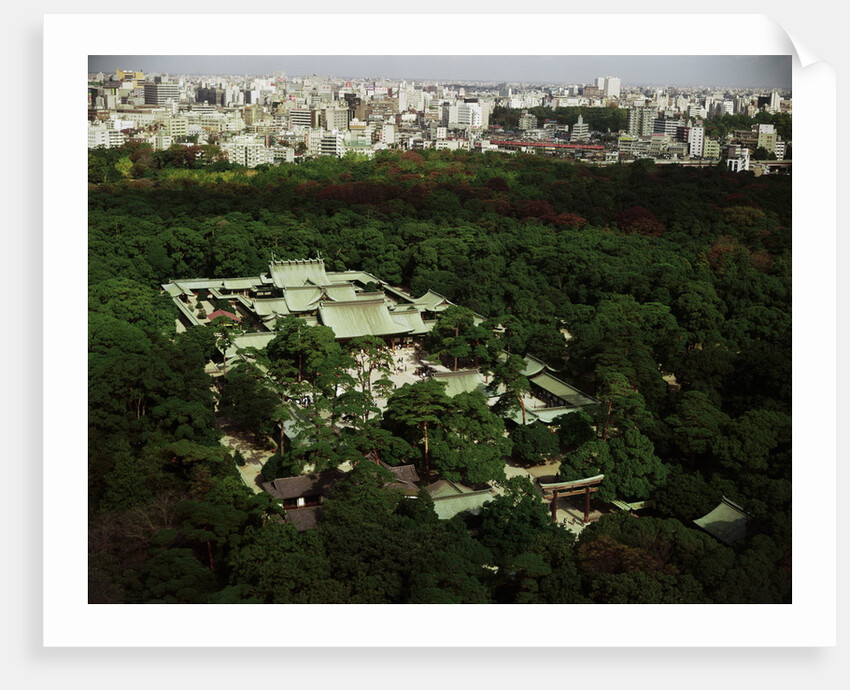 Meiji Shrine by Anonymous