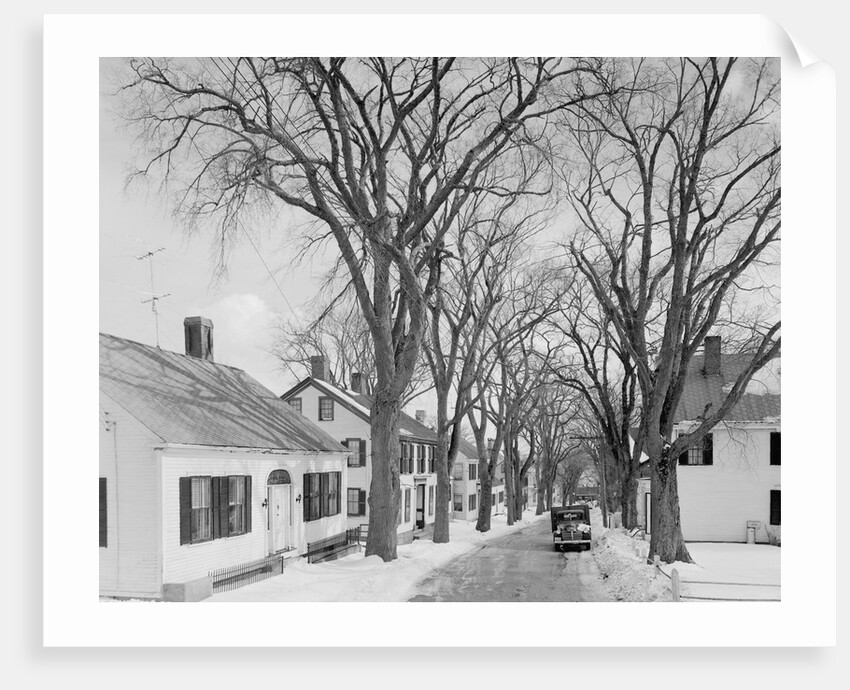 Neighborhood near Passamaquoddy Bay by Anonymous