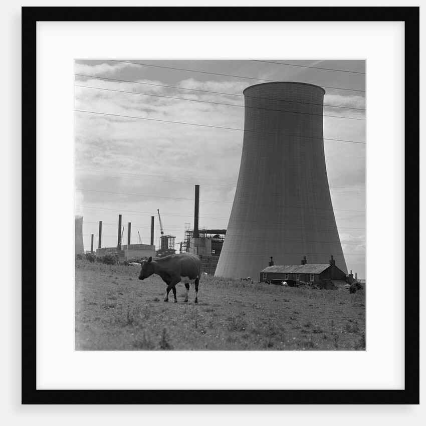 Smokestack and Nearby Pasture by Anonymous