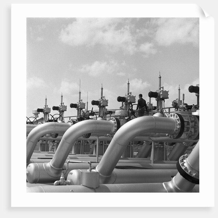 Pipelines at Texaco Oil Refinery by Anonymous