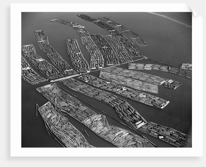 Rafts of Logs Await the Lumber Mill by Anonymous
