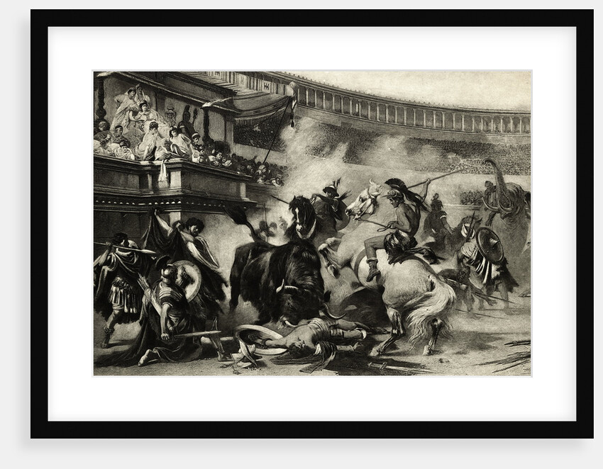 Ancient Roman Bullfight by Anonymous
