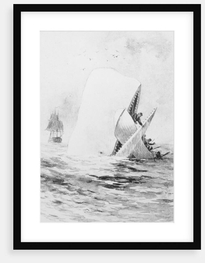 Illustration for Moby Dick by A. Burnham Shute