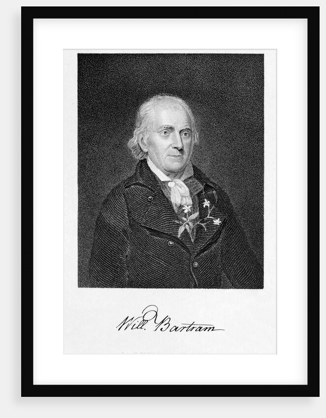 Portrait of Naturalist William Bartram by Anonymous
